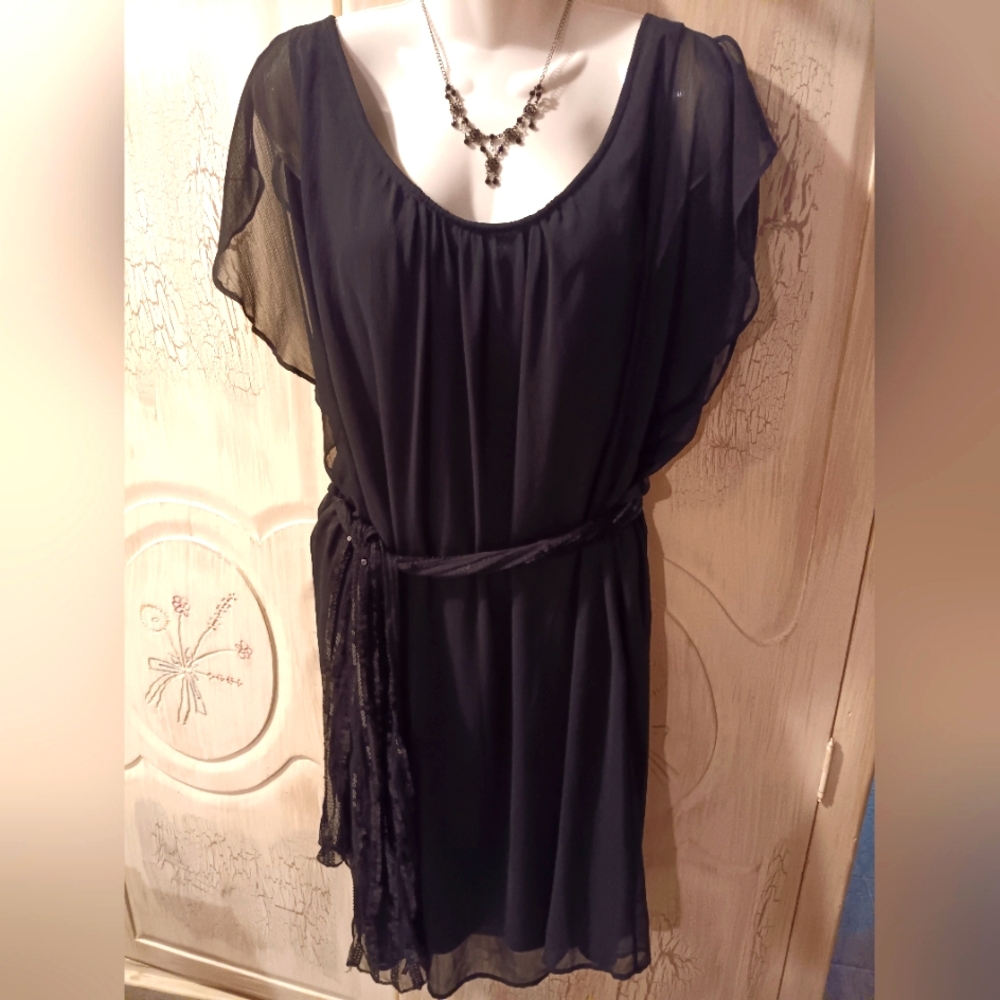 Elegant Black Sheer Dress